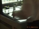 dcp_2595.jpg