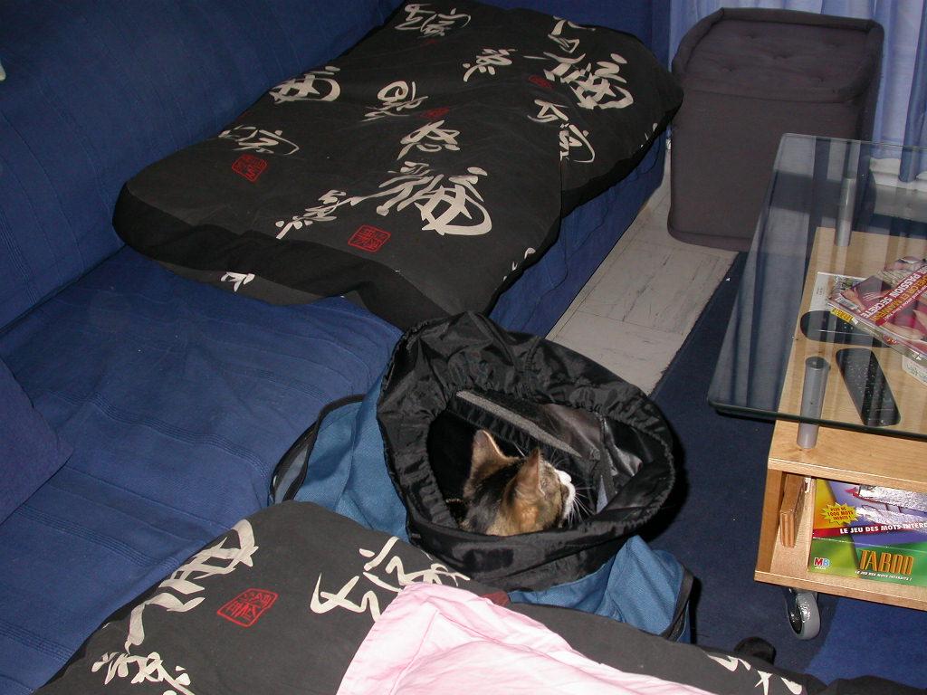dscn0239.jpg