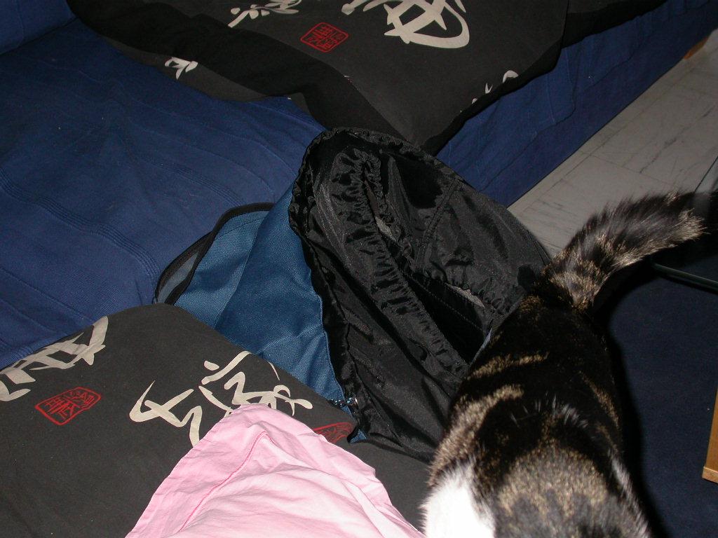 dscn0240.jpg