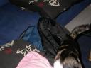 dscn0240.jpg