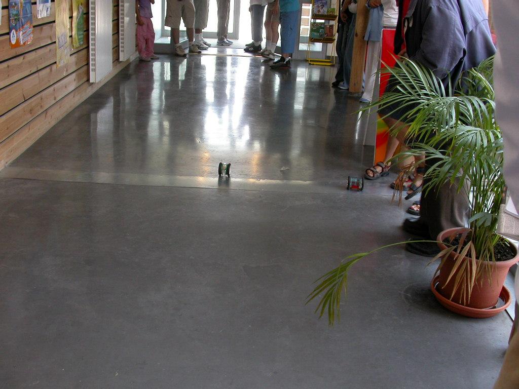 dscn2035.jpg