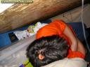 jlb-dscn2949.jpg