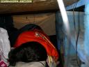 jlb-dscn3175.jpg