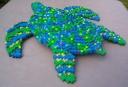 turtle04.jpg