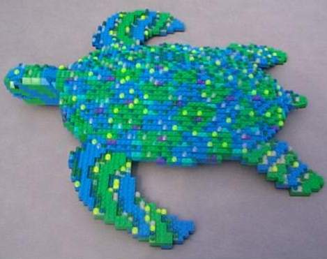 turtle02.jpg