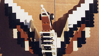 bird2.jpg
