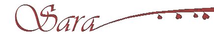 sara_banner.jpg