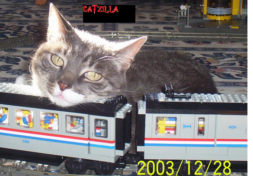 catzilla.jpg