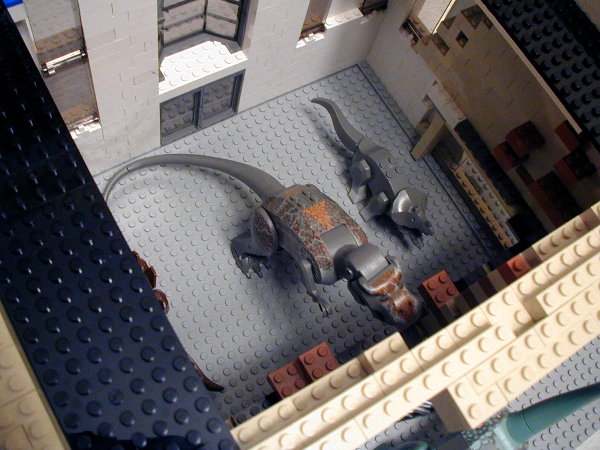 p7290005s.jpg