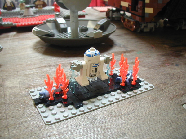p6250051.jpg