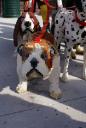 dsc01012.jpg