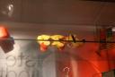 dsc03805.jpg