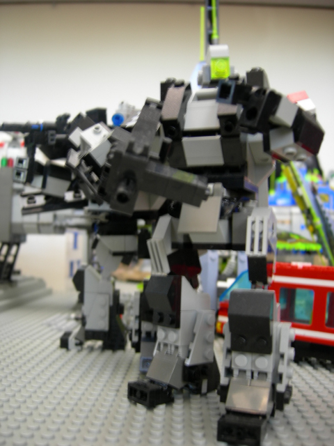 nasm060046.jpg