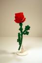 dsc01136s.jpg