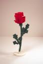 dsc01137s.jpg