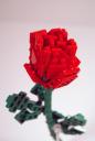 dsc01142s.jpg