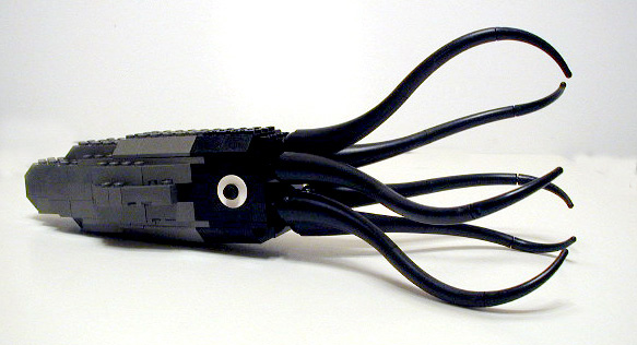 squid1.jpg