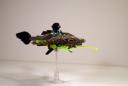 dsc05916.jpg