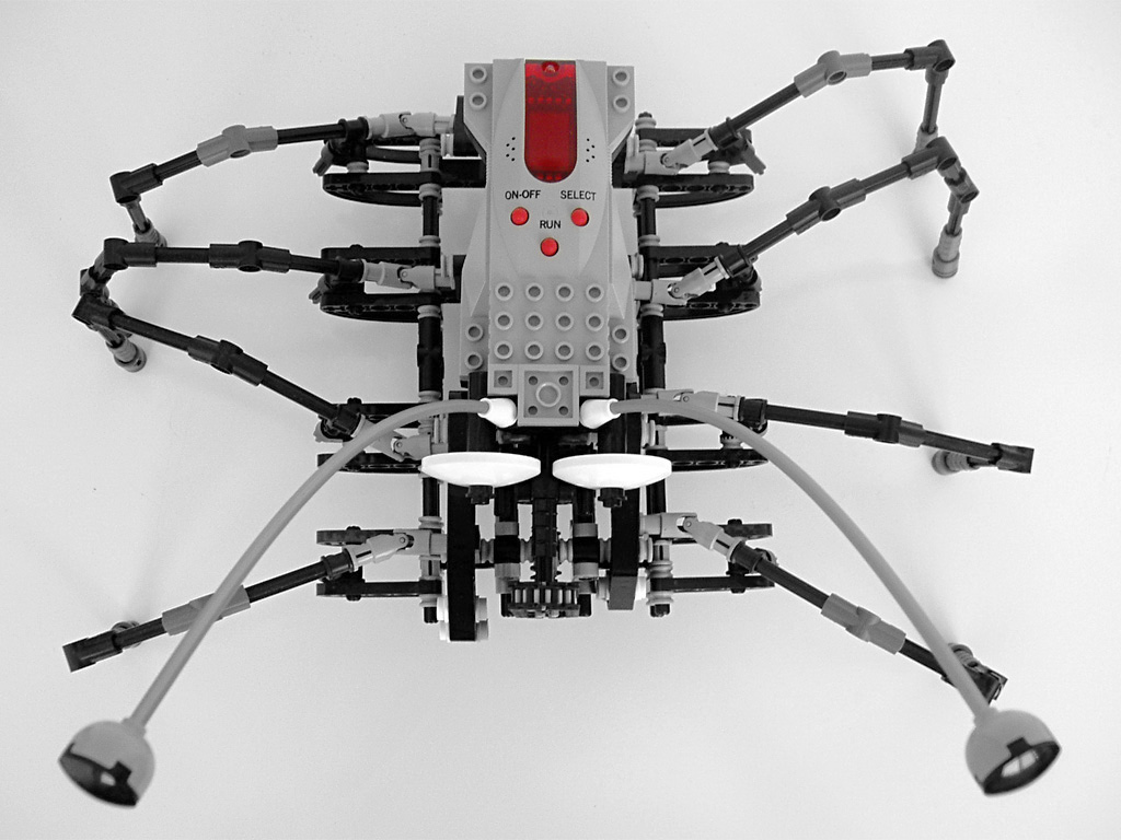spider_04.jpg