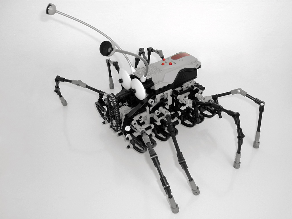 spider_05.jpg