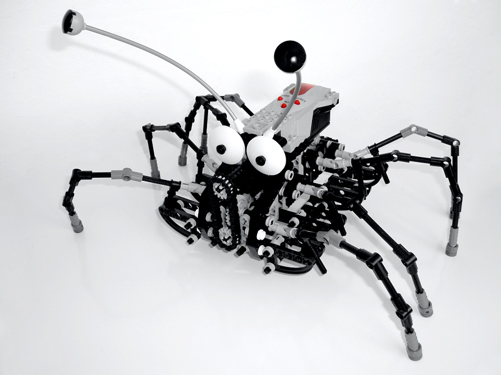 spider_07.jpg