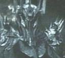sauron_c.jpg