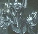 sauron_c2.jpg