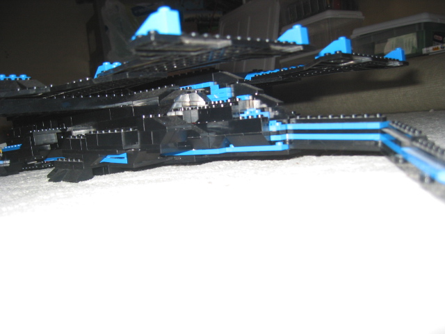 tail_and_the_wings.jpg