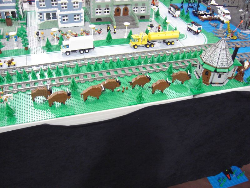 dsc00201.jpg