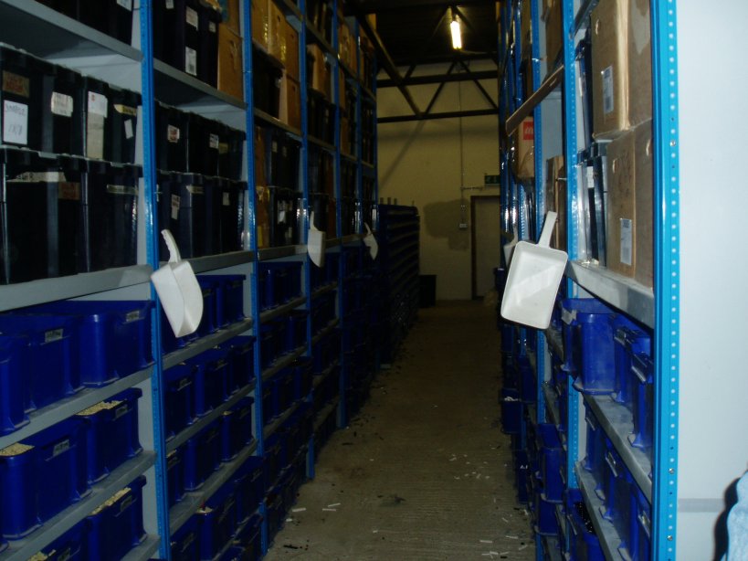 image45.jpg