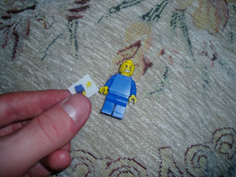 image9.jpg