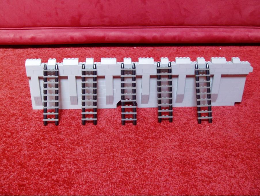 wall_ladders_2.jpg