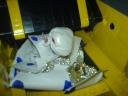 dsc00170.jpg
