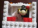 buswip_driver.jpg
