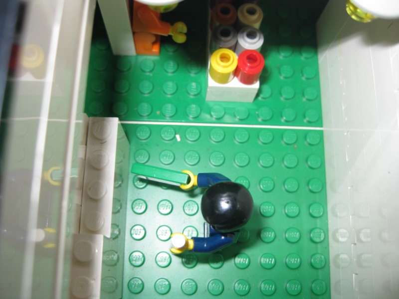 bunnings7.jpg