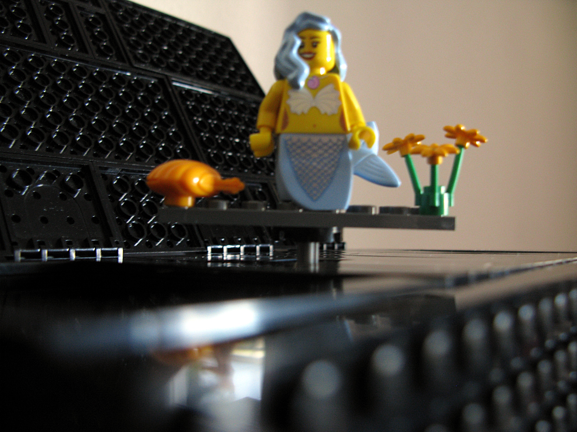 caixademusica-v2-33.jpg