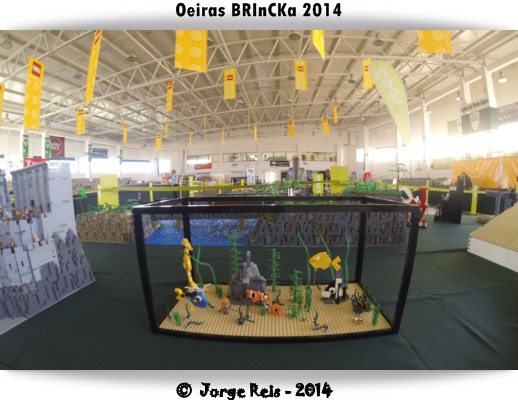 gopro110.jpg