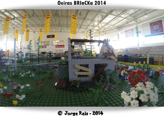 gopro28.jpg