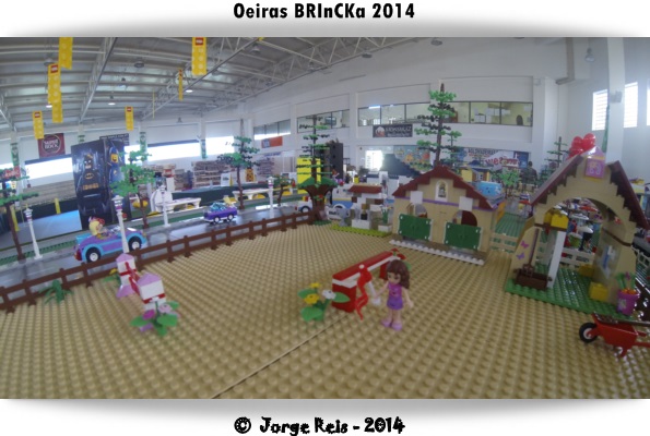gopro55.jpg