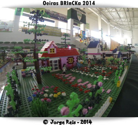gopro77.jpg