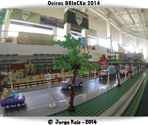 gopro79.jpg