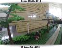 gopro82.jpg