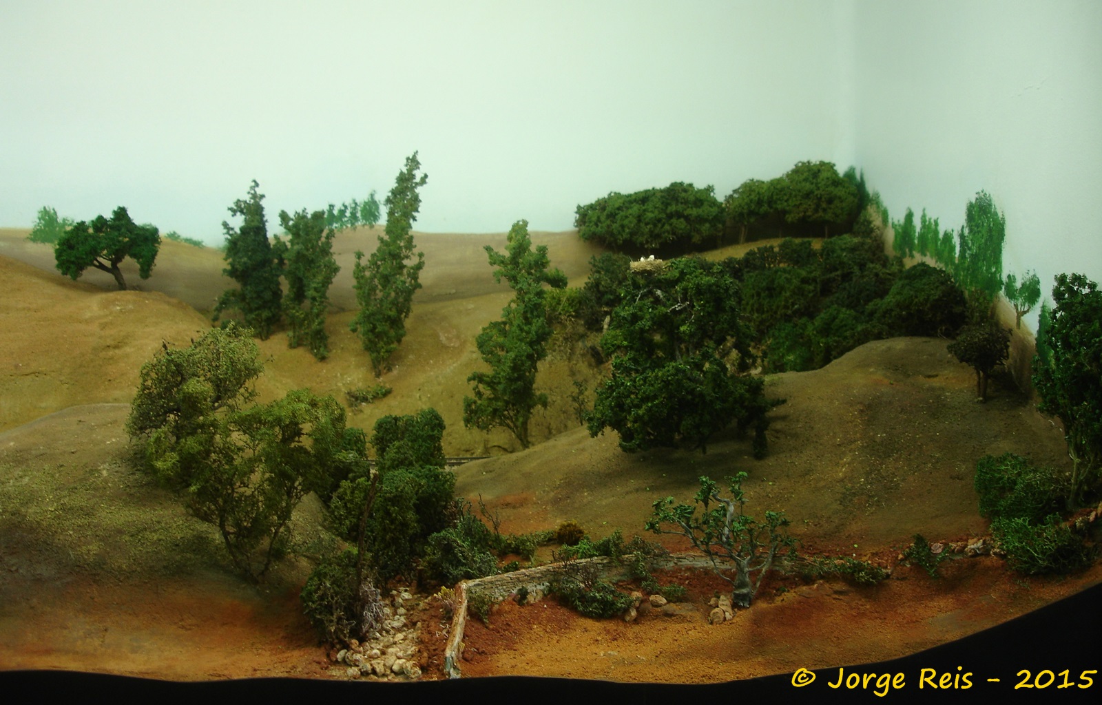 maquetrem08.jpg