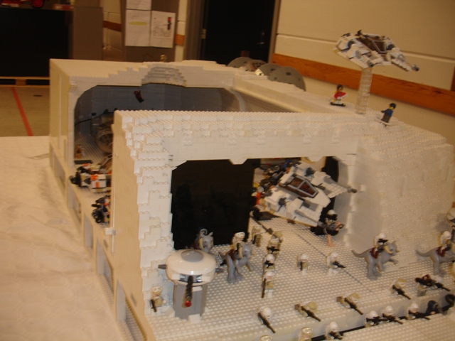 111.jpg