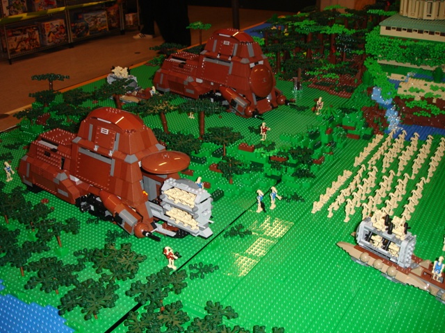 379.jpg