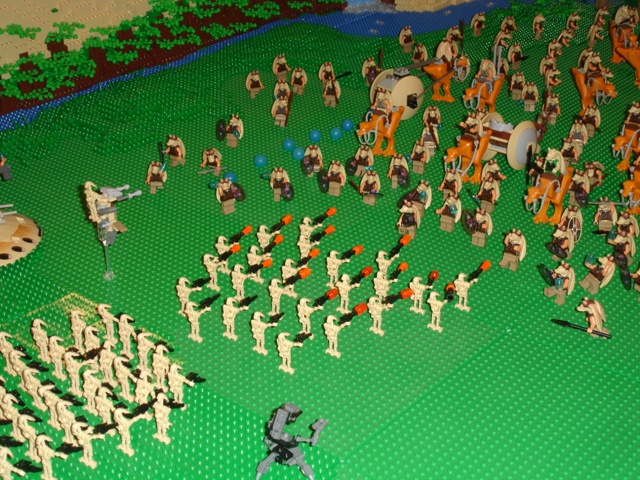 382.jpg