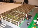 117.jpg