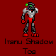 iranu_shadow_toa.bmp