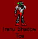 iranu_shadow_toa.bmp