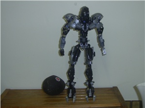 makuta.jpg